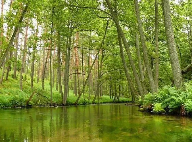 Spływ kajakowy Marózka - idealna przygoda wśród natury i spokoju Spływ kajakowy Marózka - idealna przygoda wśród natury i spokoju