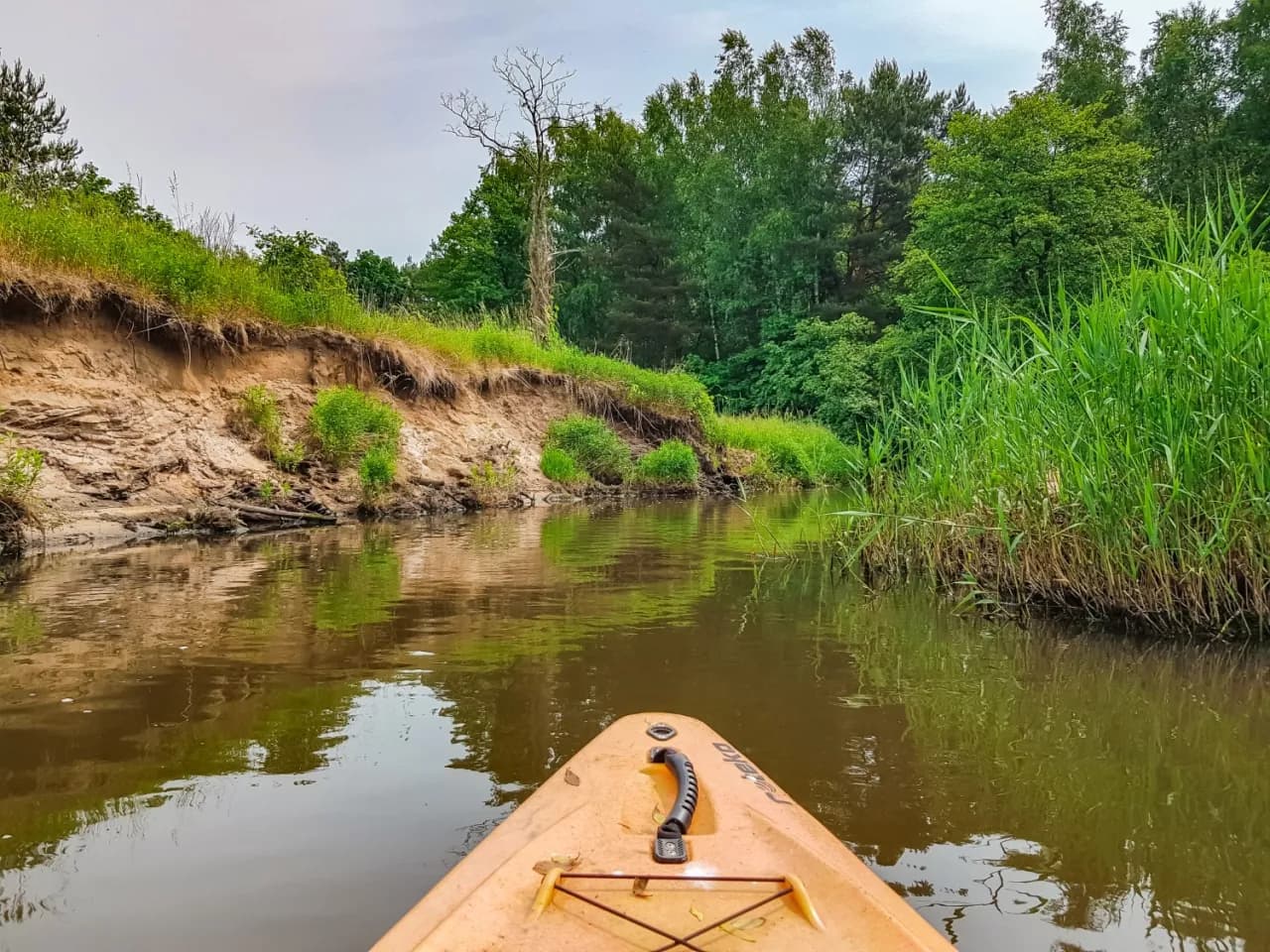 Rudy spływ kajakowy: Przeżyj niezapomnianą przygodę w naturze Rudy spływ kajakowy: Przeżyj niezapomnianą przygodę w naturze