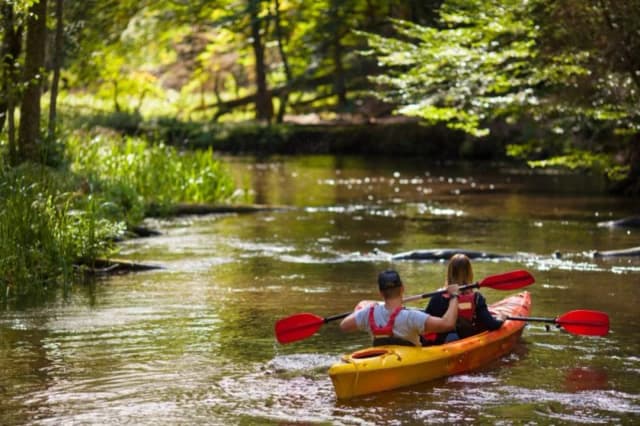 Spływ kajakowy Tarnowskie Góry - najlepsze trasy i wydarzenia dla rodzin Spływ kajakowy Tarnowskie Góry - najlepsze trasy i wydarzenia dla rodzin