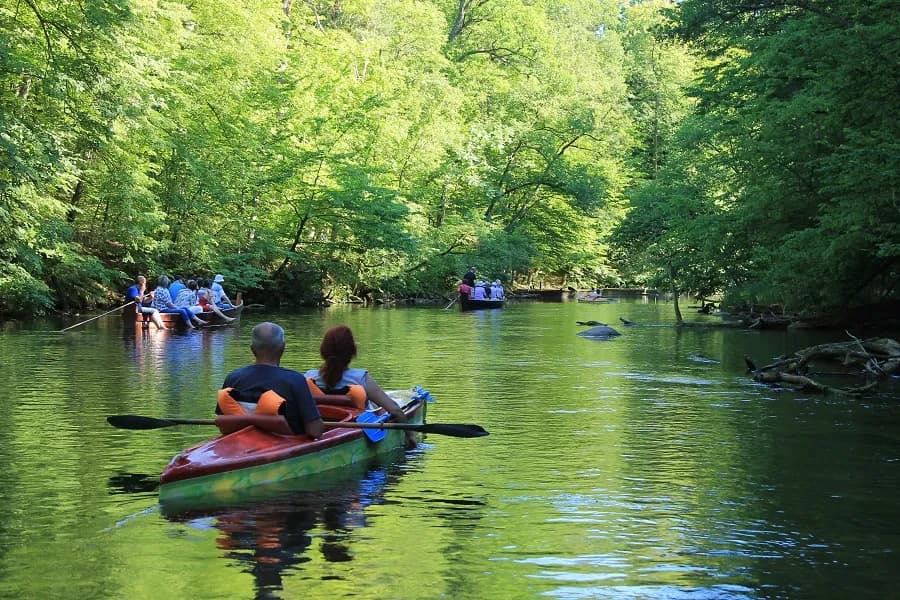 Spływ kajakowy Krutynia - odkryj piękno rzeki bez stresu i zgiełku Spływ kajakowy Krutynia - odkryj piękno rzeki bez stresu i zgiełku